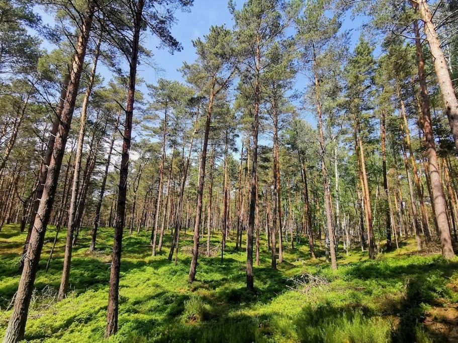 Campolohel- Przyczepa Kempingowa Extérieur photo